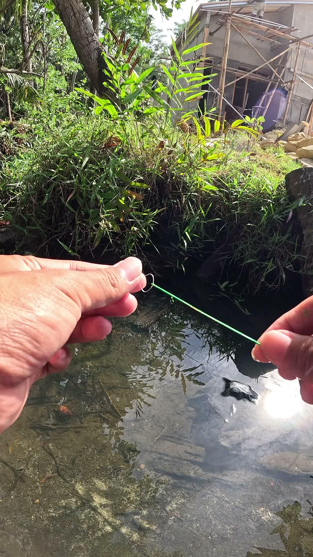 menangkap udang dengan cerdik #fishing #shrimp #fish #sea #traditional #usareels #UnitedStates #reelsviral #skils #fyp #trending