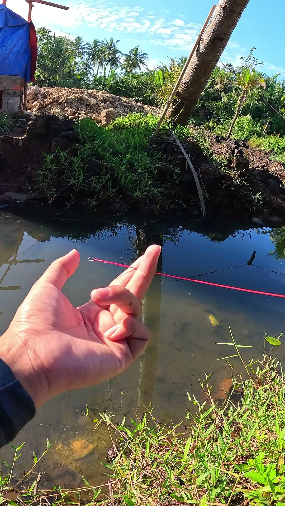 waduh malah lepas lagi 🎣🦐😭