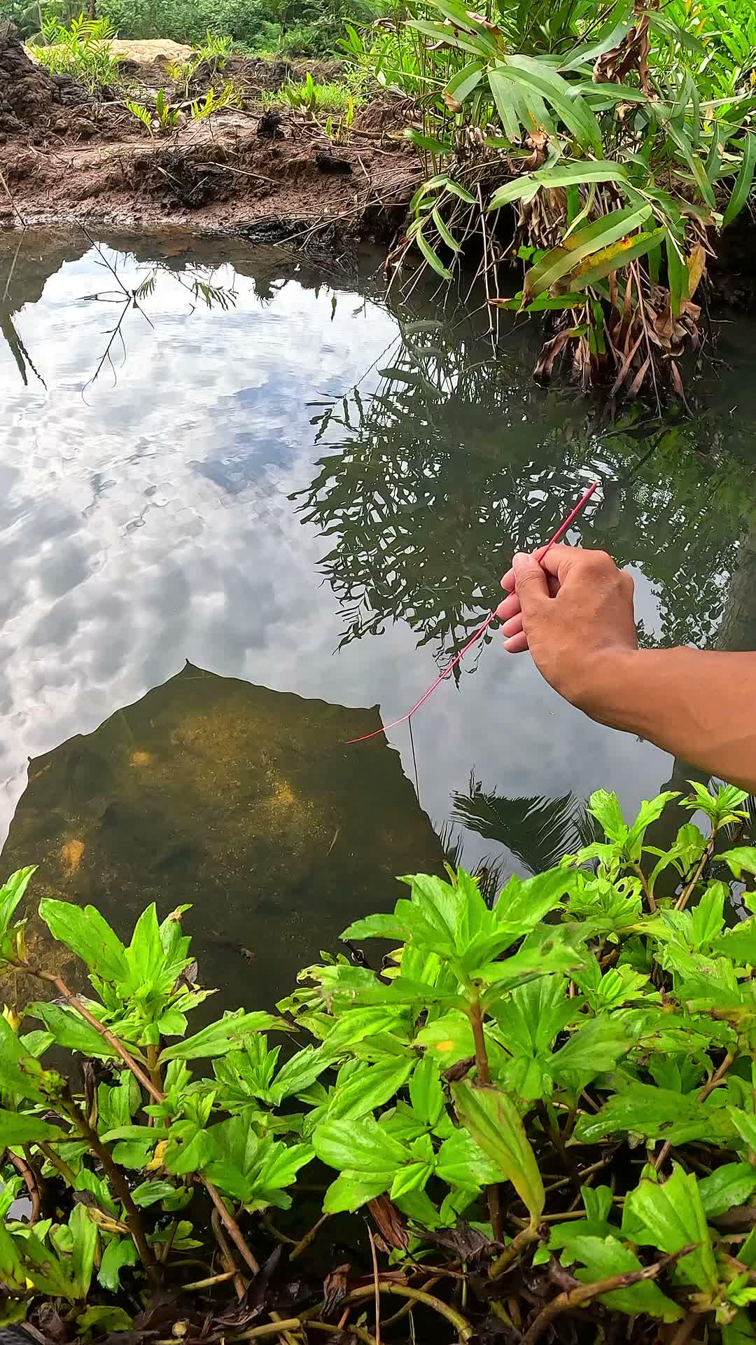 not everyone knows this way #fishing #traditional #usa #usareels #UnitedStates #unitedkingdom #denmark #canada