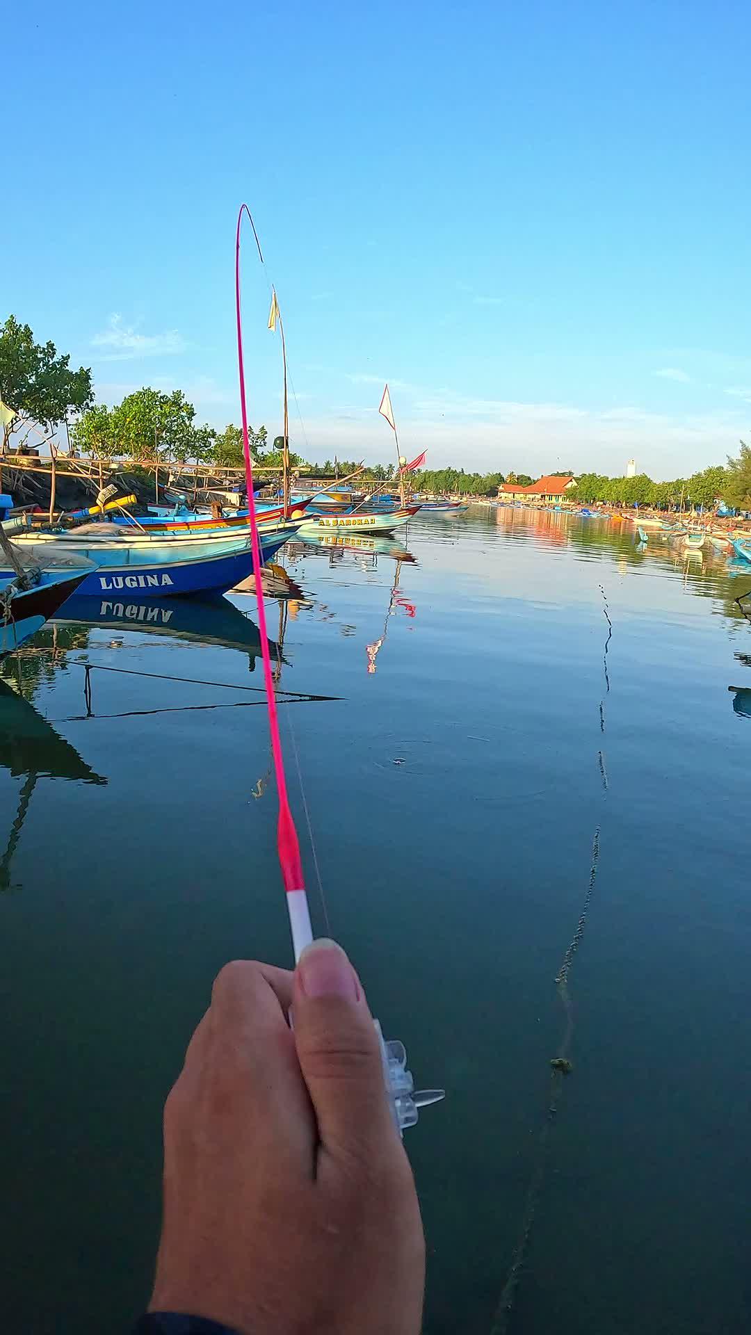 my fishing rod is curved #fishing #micro #microfishing #usa #usareels #UnitedStates #unitedkingdom #denmark #canada