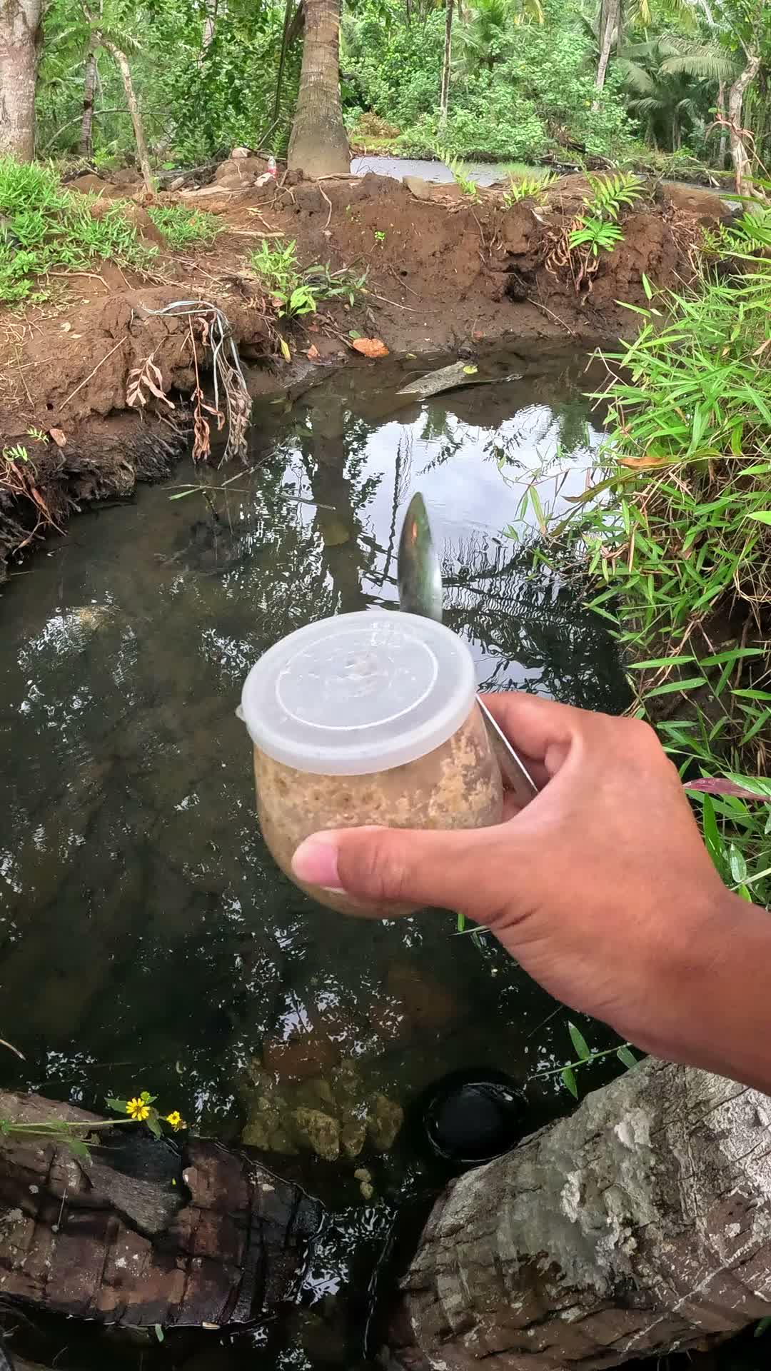 tutorial nangkap udang sungai #mancing #fishing #shrimp #udang #nelayan #laut #jaring #ikan #reelsviral #animals #skill #fyp #trending