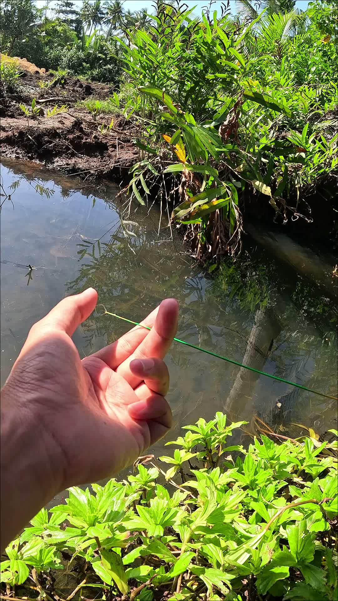 teknik jitu mancing udang  #trending  #RCTIPlus 