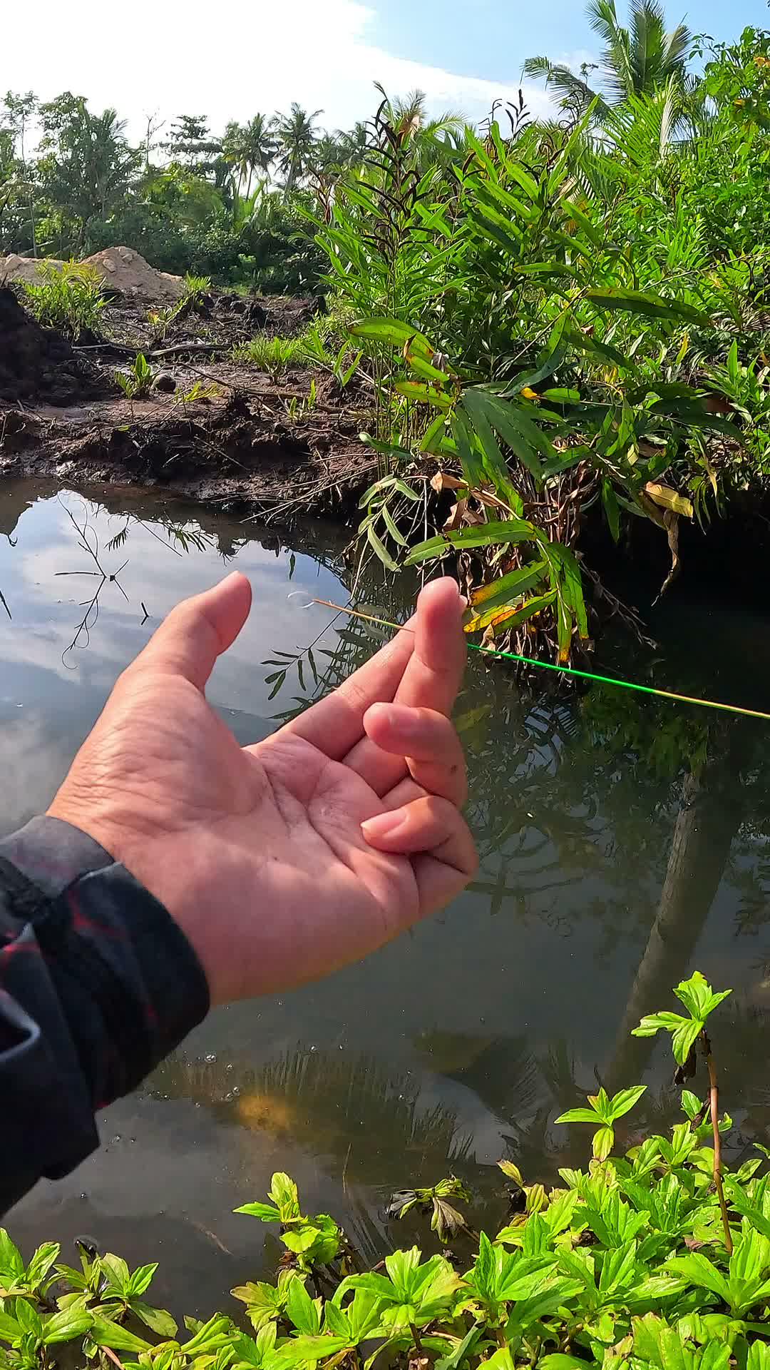 dapet terus udang🦐 #mancing #fishing #shrimp #udang #nelayan #laut #jaring #ikan #reelsviral #animals #skill #fyp #trending