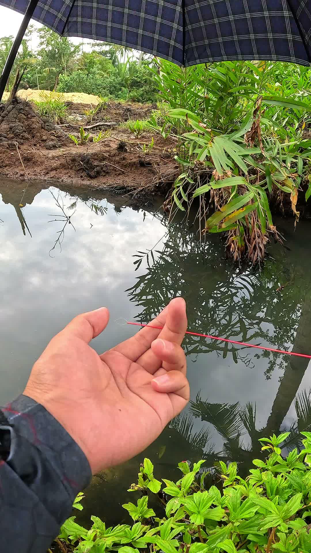 caught lots of river prawns #fishing #traditional #usa #usareels #UnitedStates #unitedkingdom #denmark #canada