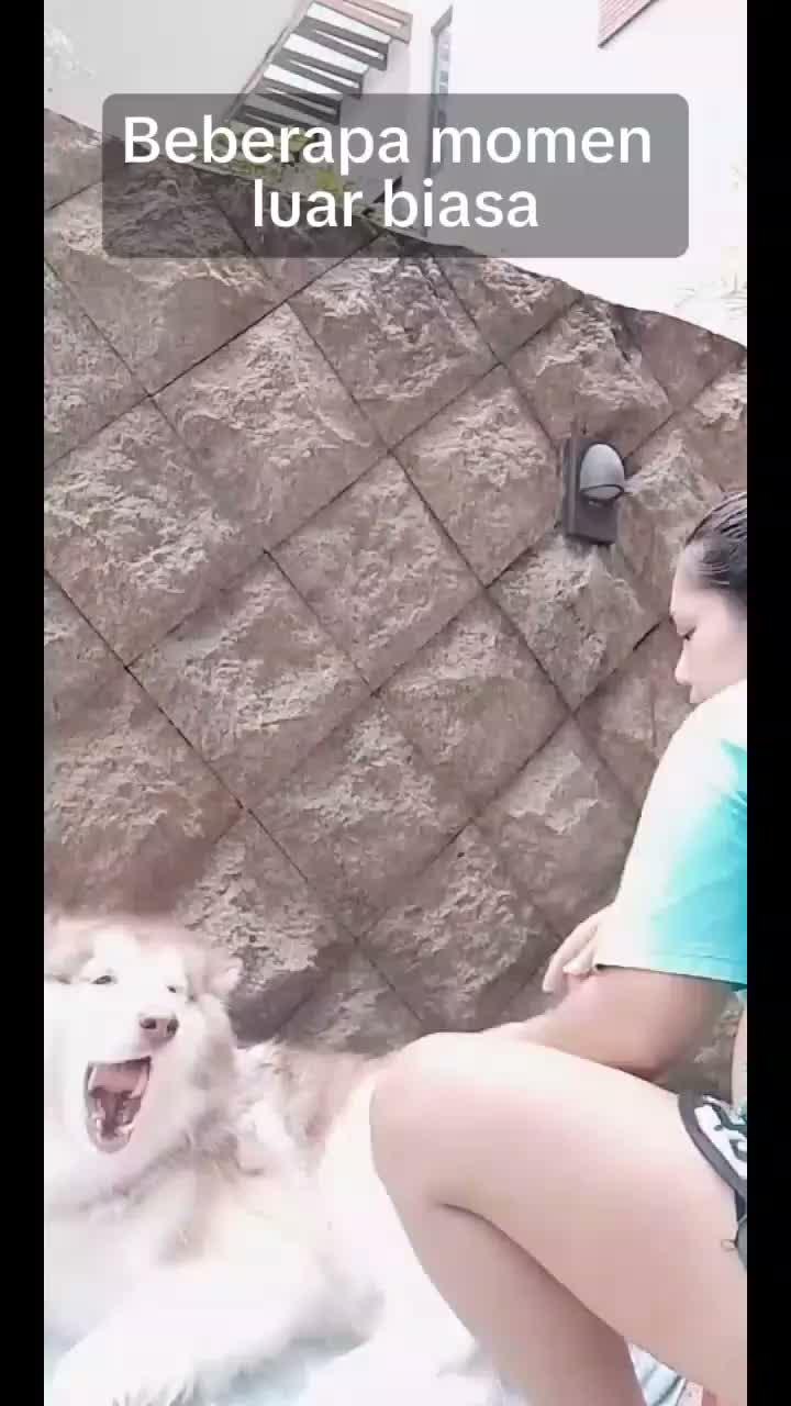  #fypシ゚viral #fypシ 