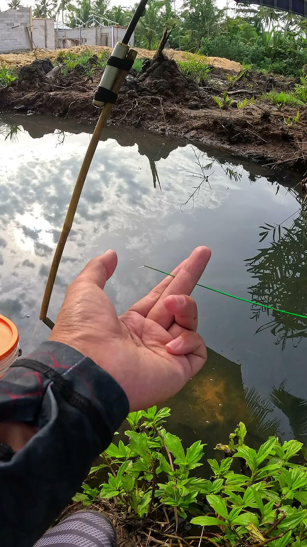 I caught shrimp easily #fishing #traditional #usa #usareels #UnitedStates #unitedkingdom #denmark #canada