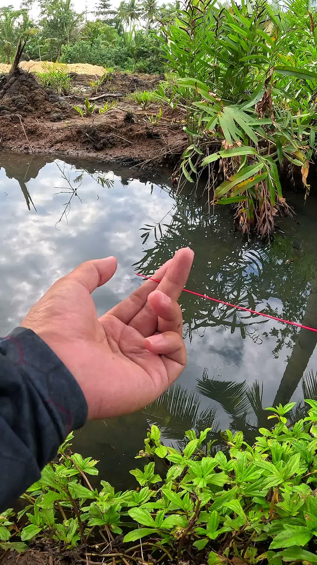 Small ditches become shrimp nests #fishing #traditional #usa #usareels #UnitedStates #unitedkingdom #denmark #canada