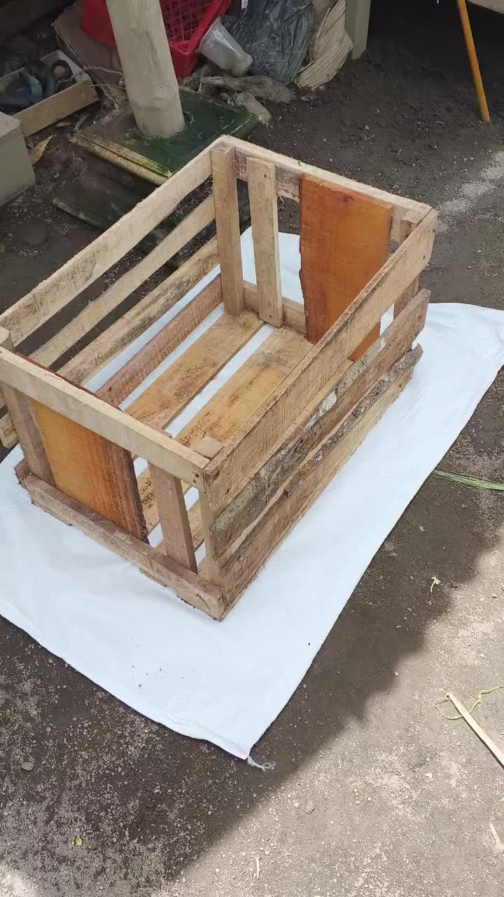 Mari kita intip persiapan pengiriman ke Lampung Selatan Kemarin #peternakmuda #menthokjumbo #muscovyduck