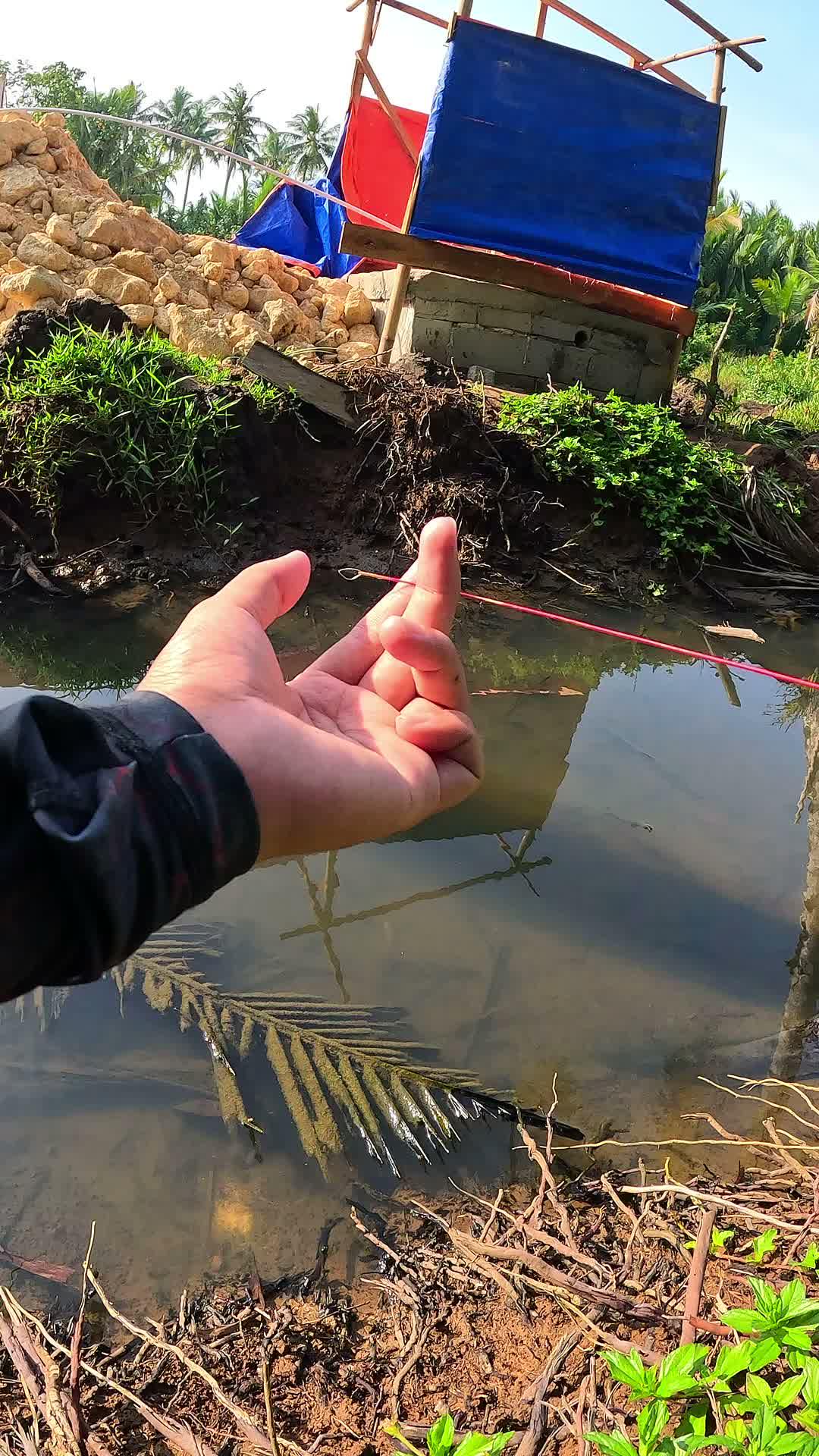 nangkap udang buat mancing #mancing #fishing #shrimp #udang #nelayan #laut #jaring #ikan #reelsviral #animals #skill #fyp #trending