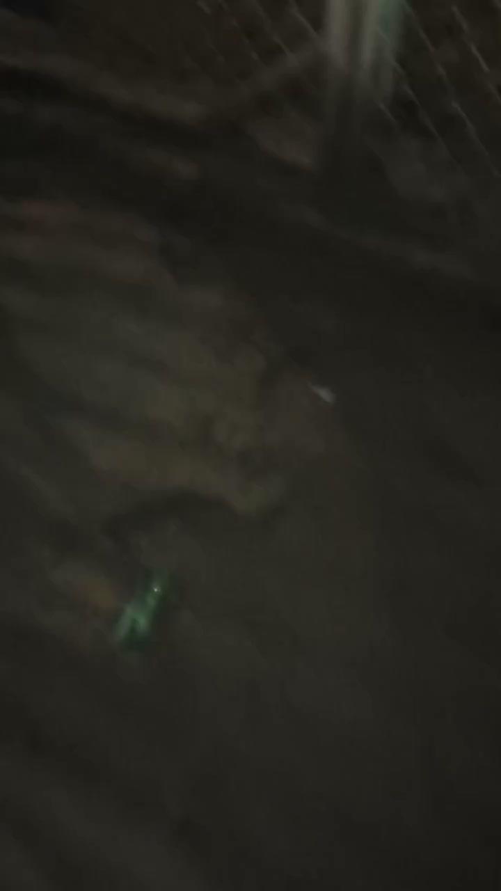 Spill tipis tipis ini bollo #peternakmuda #menthokjumho #muscovyduck