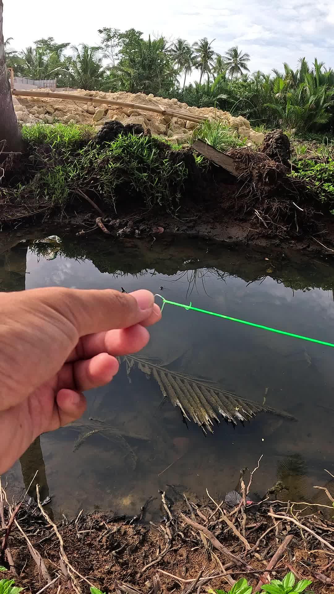 thread is not fully locked #fishing #shrimp #fish #sea #traditional #usareels #UnitedStates #reelsviral #skils #fyp #trending