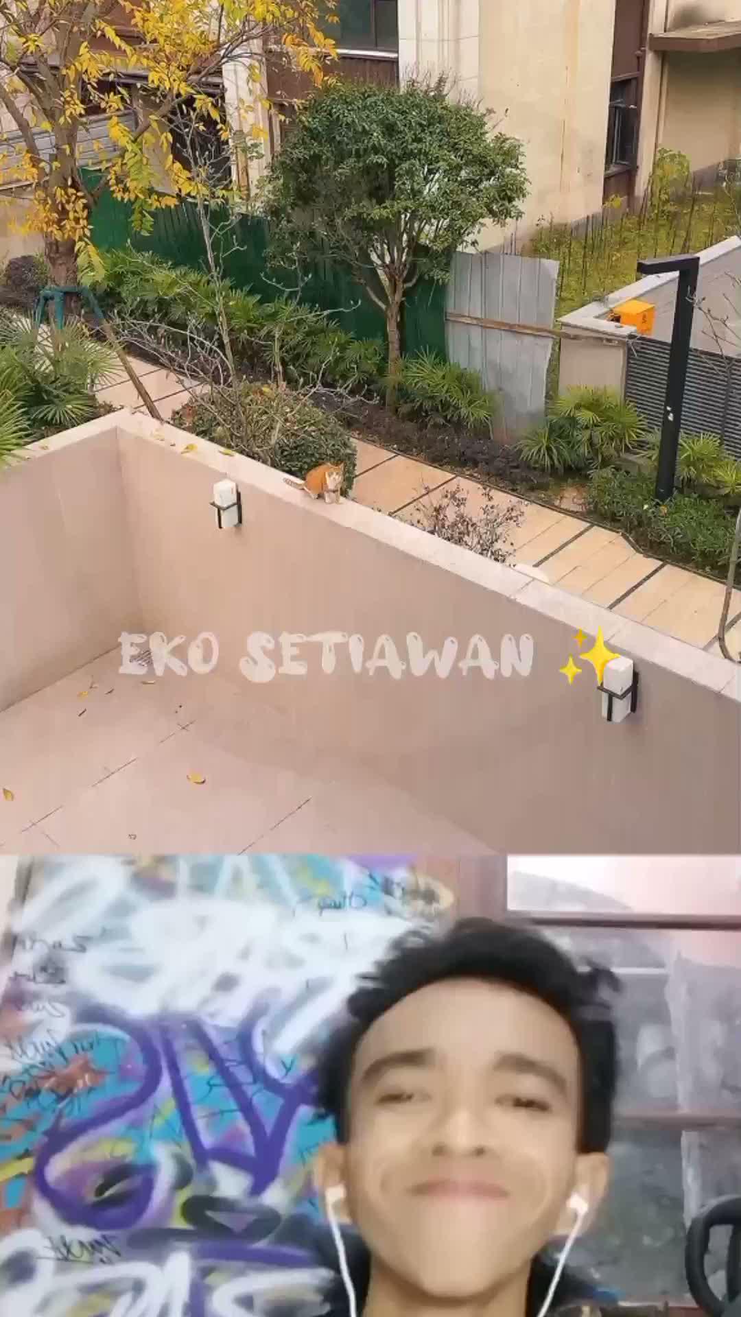 kisah kucing oyen yang tertukar 🥰😍