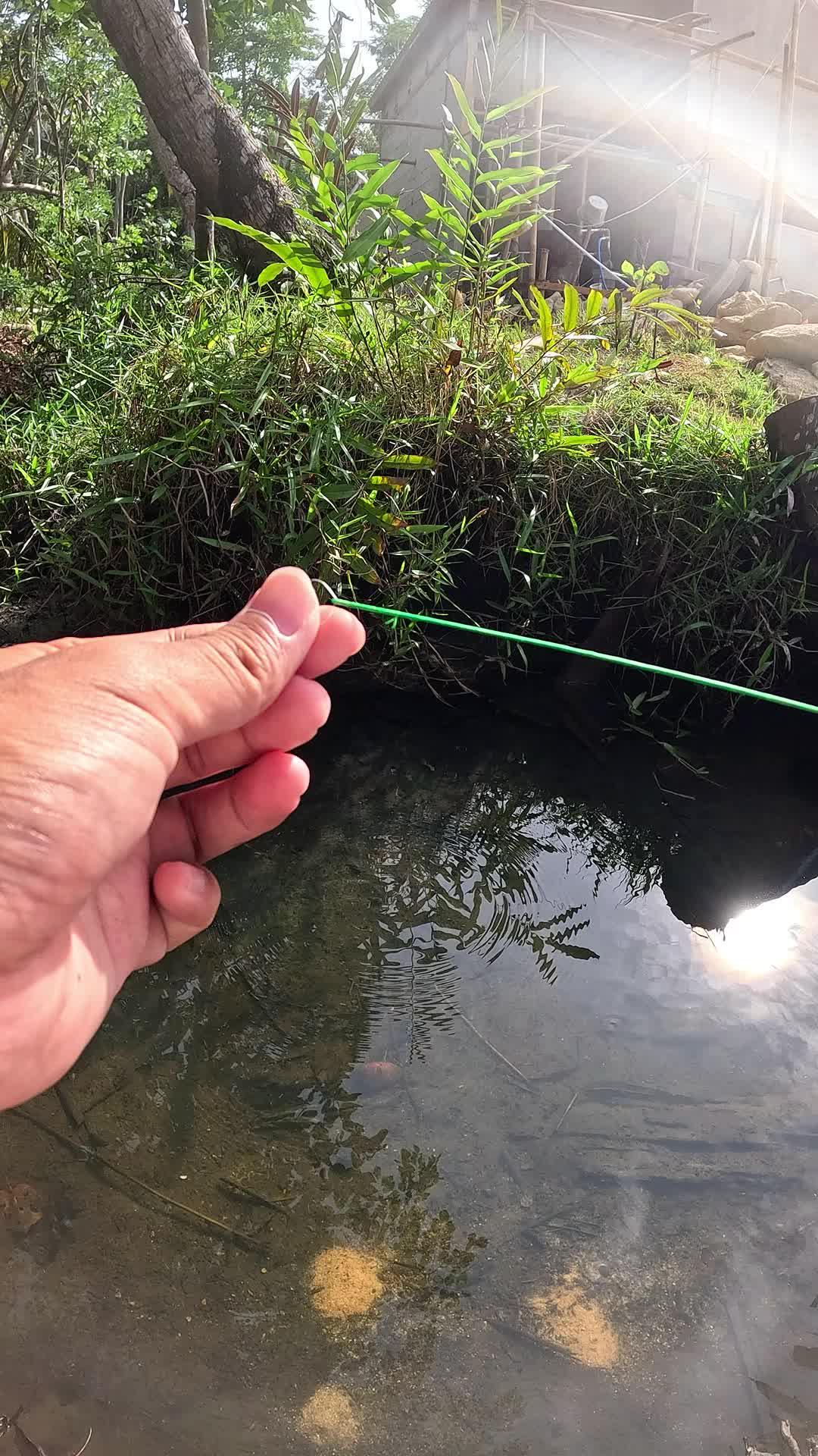 ada banyak udang disini #mancing #fishing #shrimp #udang #nelayan #laut #jaring #ikan #reelsviral #animals #skill #fyp #trending