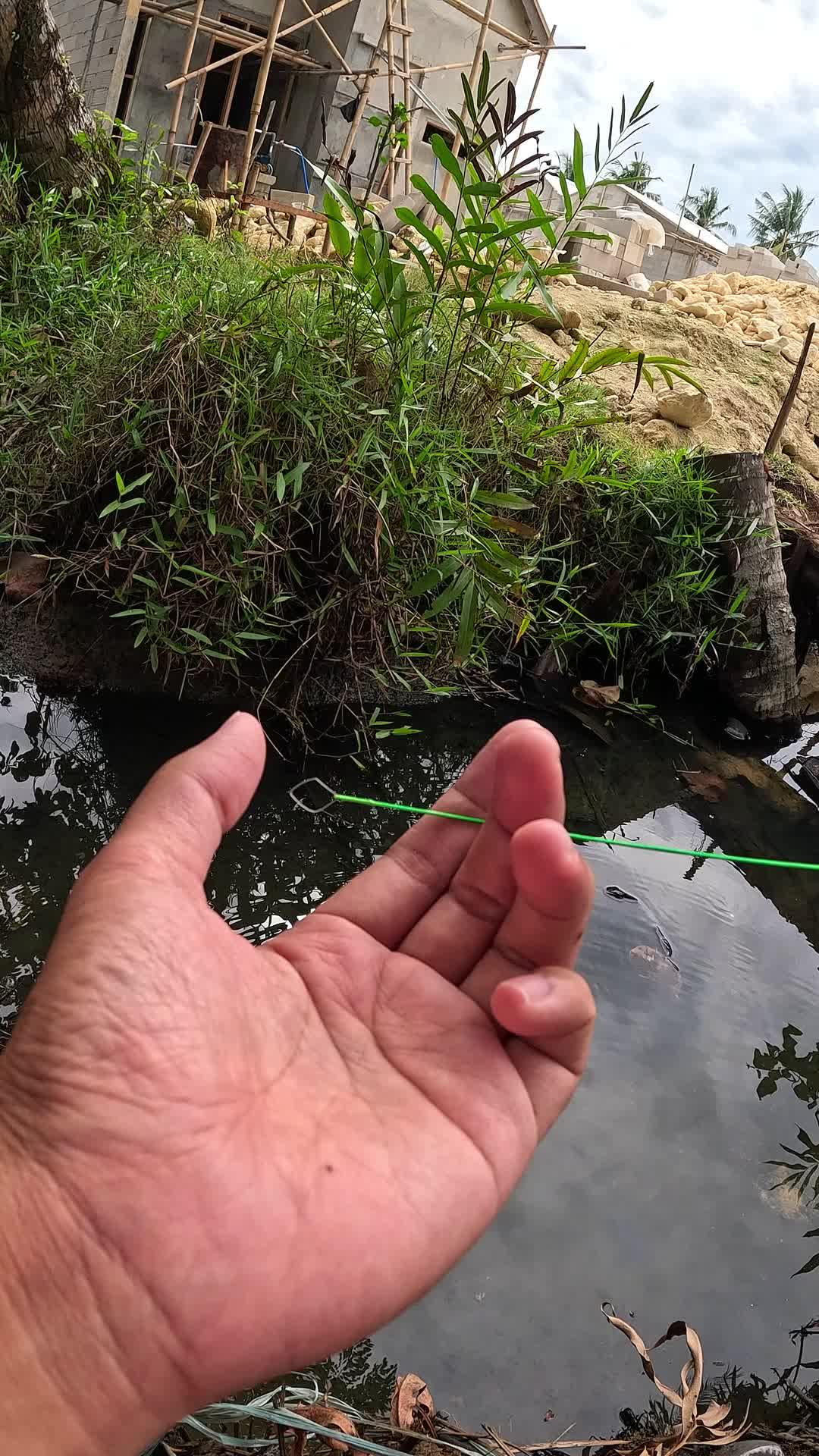mancing udang pake lidi kelapa #mancing #fishing #shrimp #udang #nelayan #laut #jaring #ikan #reelsviral #animals #skill #fyp #trending