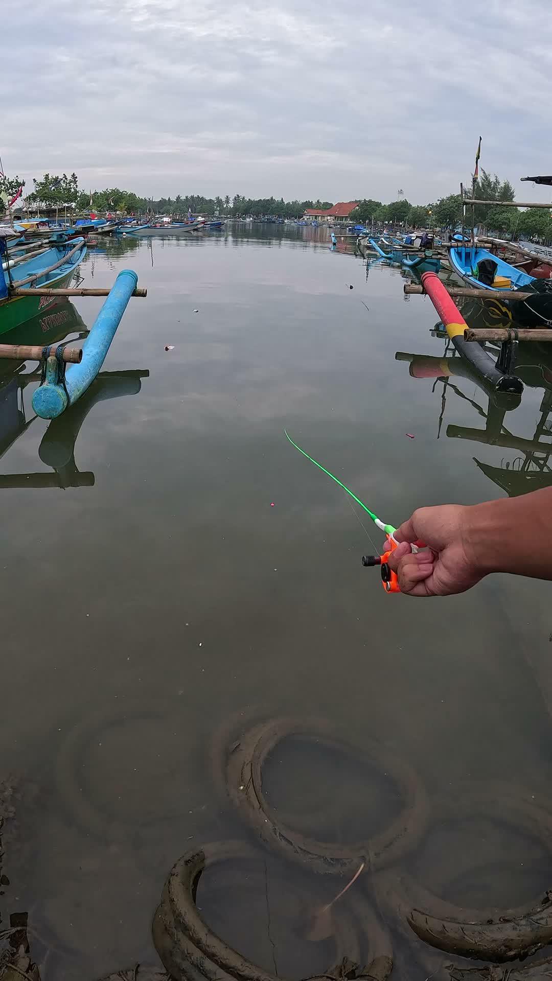 baru dilempar langsung dimakan ikan
