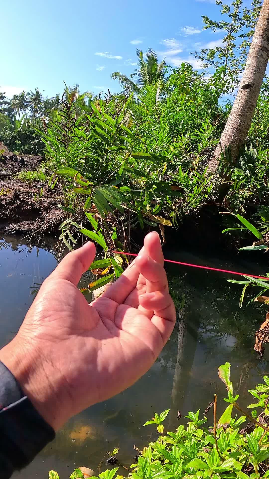sangat jitu mancing udang #mancing #fishing #shrimp #udang #nelayan #laut #jaring #ikan #reelsviral #animals #skill #fyp #trending