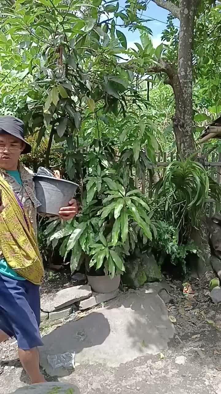 si abah 😂
 #short  #HOTrctiplus  #RCTIPlus  #fyp 