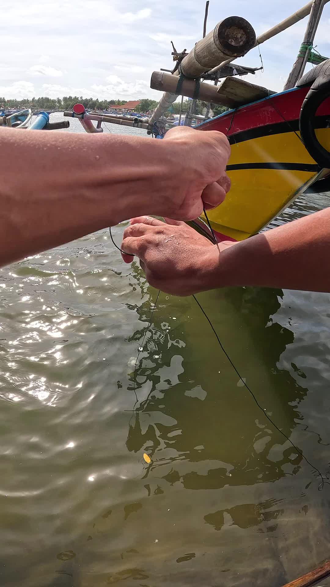 ada yang tau hewan apa ini?