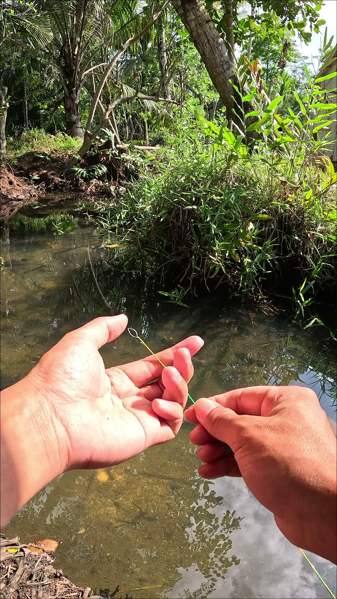 menangkap udang tanpa lama #mancing #fishing #shrimp #udang #nelayan #laut #jaring #ikan #reelsviral #animals #skill #fyp #trending