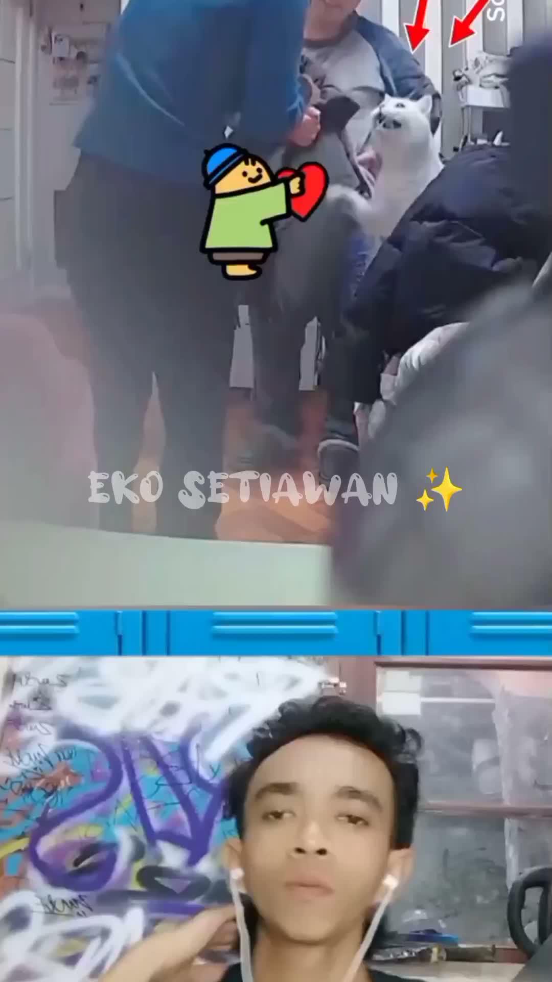 kucing ini sungguh penuh perhatian 🥰🥰🥰🥰