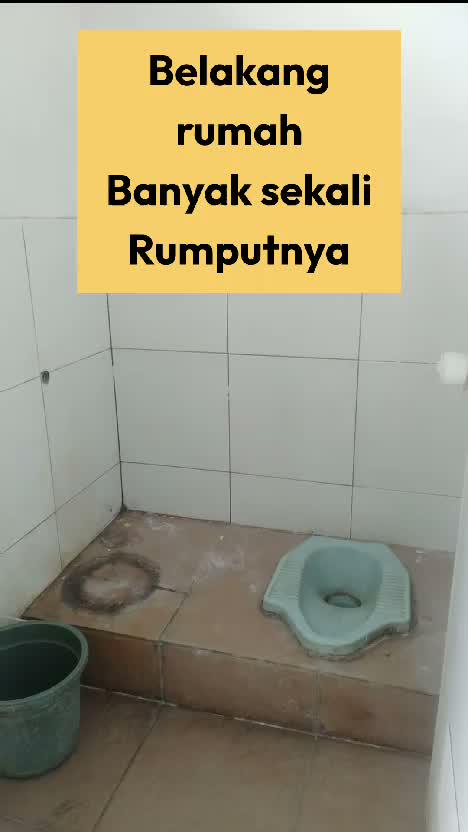 banyaknya rumput rumput.
#RCTIPlus #HOTrctiplus #rumahanak #fyp #fypシ 
