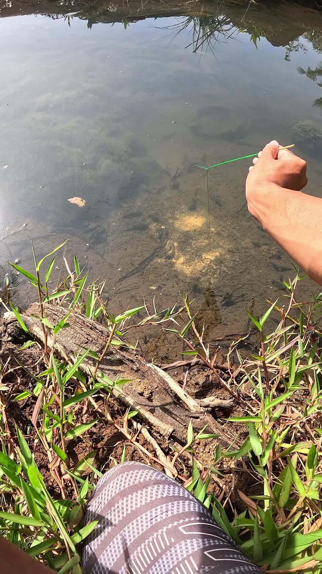 teknik mancing udang tradisional 