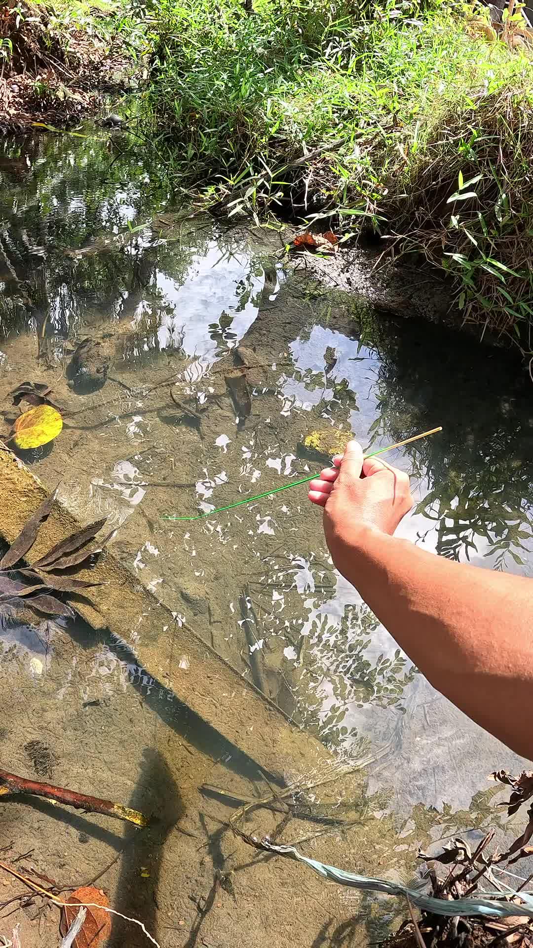 teknik andalan #mancing #fishing #shrimp #udang #nelayan #laut #jaring #ikan #reelsviral #animals #skill #fyp #trending