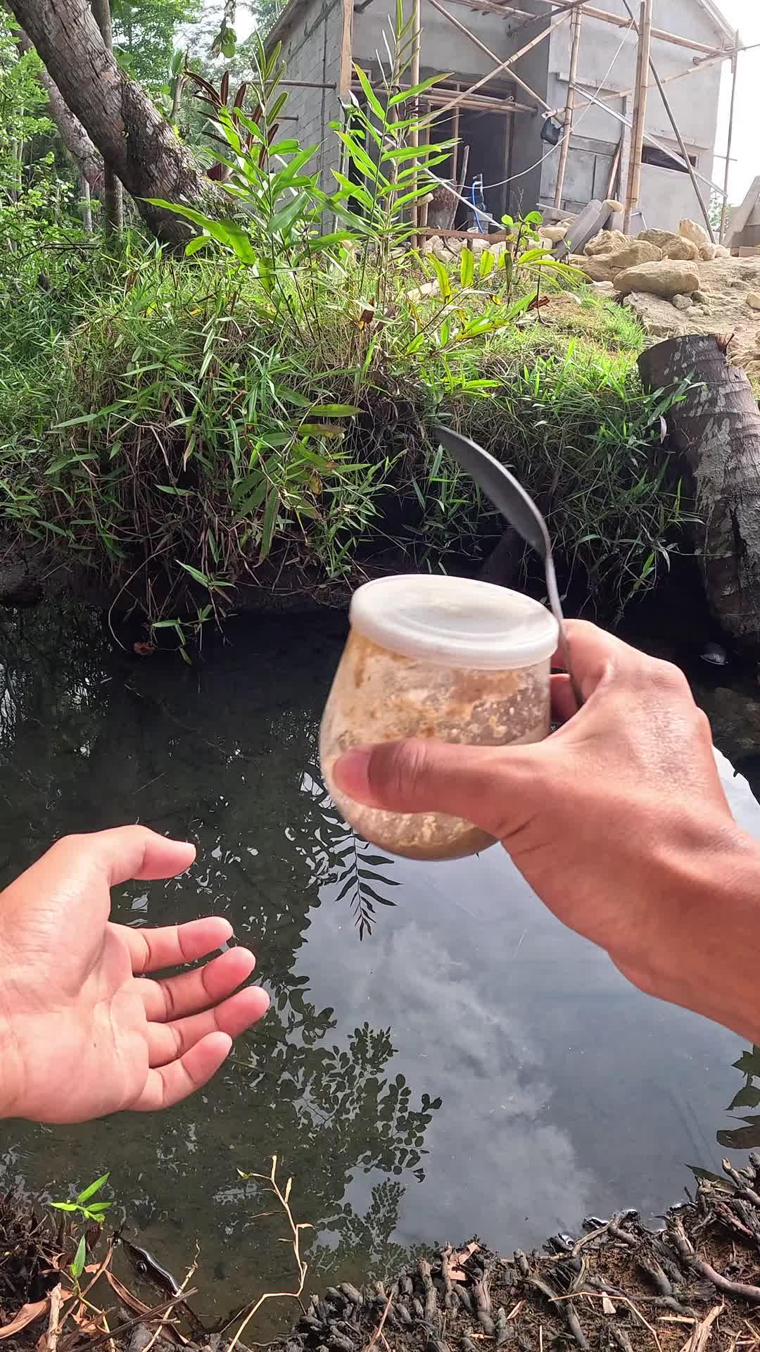 traditional but effective way #fishing #shrimp #traditional #usa #usareels #UnitedStates #unitedkingdom #denmark #canada