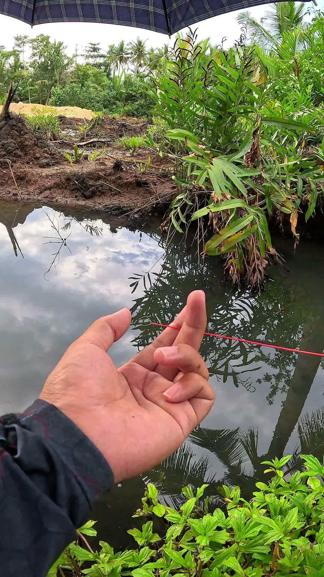traditional technique #fishing #traditional #usa #usareels #UnitedStates #unitedkingdom #denmark #canada