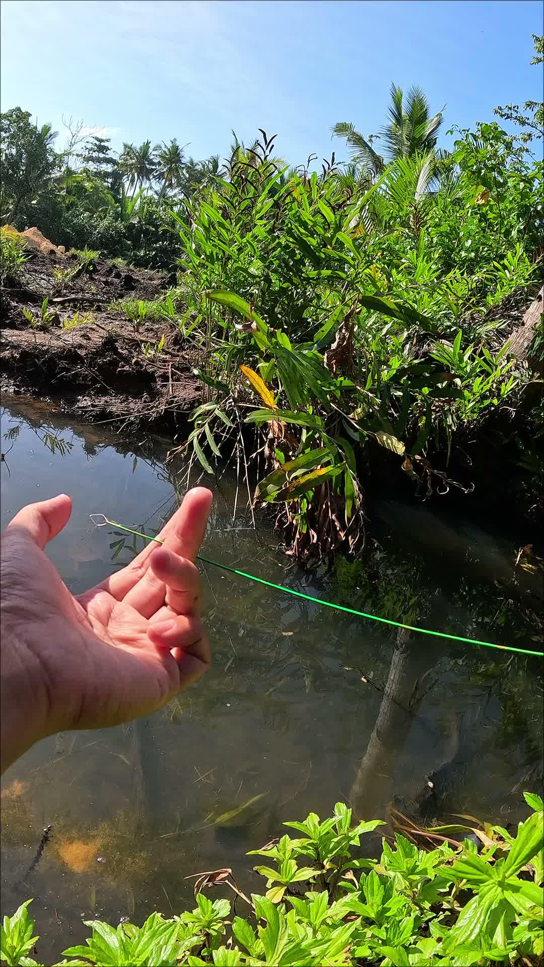 tempat yang indah untuk mancing udang