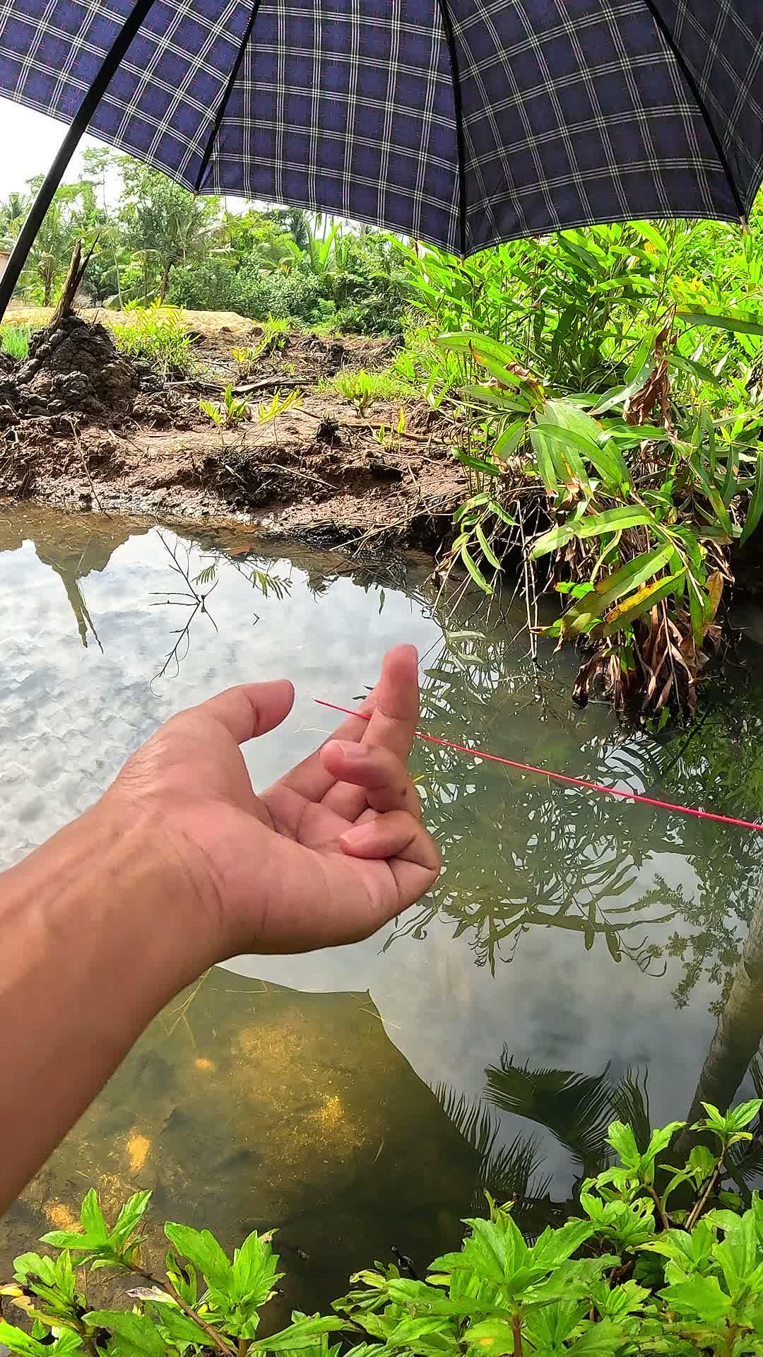 menangkap udang di parit kecil