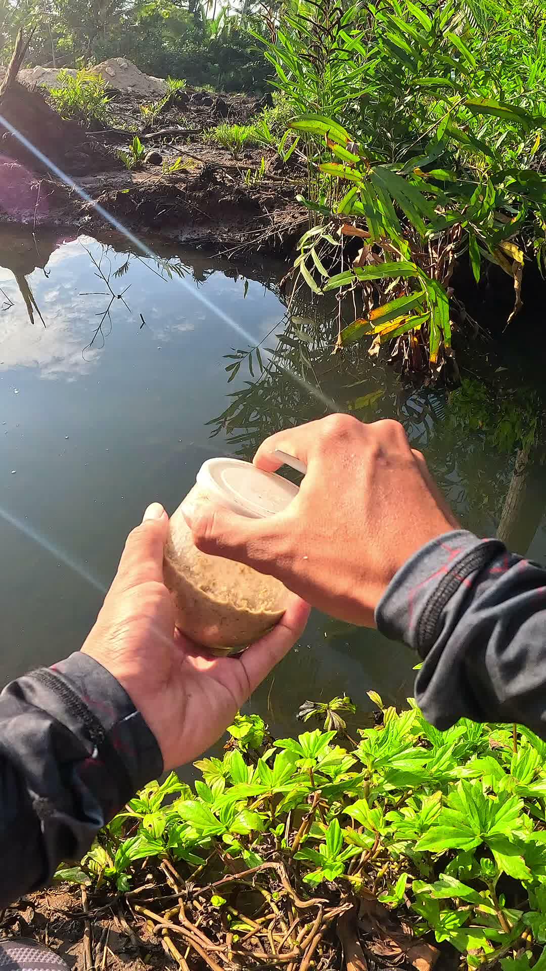 alhamdulillah masih banyak udang di kampung ku #udang #nelayan #laut #jaring #ikan #fbpro #reels #reelsviral #duniaikan #skills #fyp #trendi