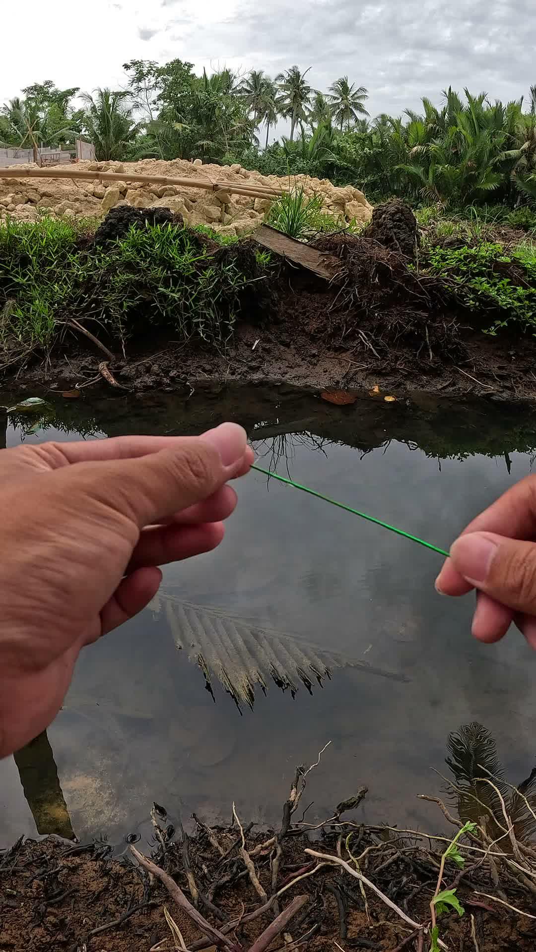 cara mudah nangkap udang #mancing #fishing #shrimp #udang #nelayan #laut #jaring #ikan #reelsviral #animals #skill #fyp #trending