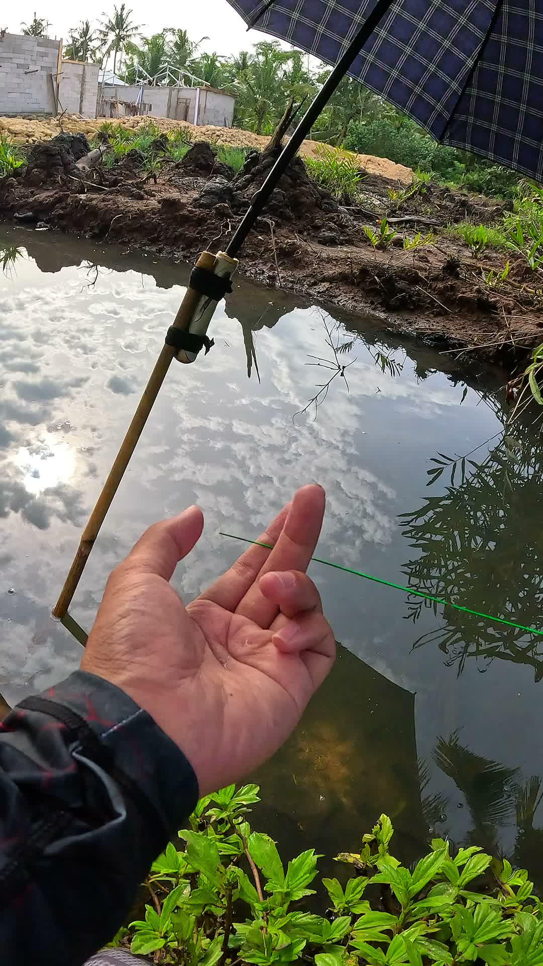 Fishing tips and tricks #fishing #traditional #usa #usareels #UnitedStates #unitedkingdom #denmark #canada