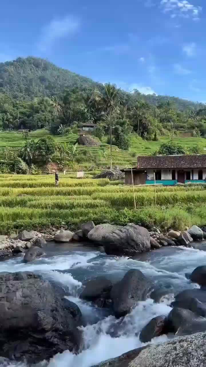 pedesaan  #short  #HOTrctiplus  #RCTIPlus  #fyp 