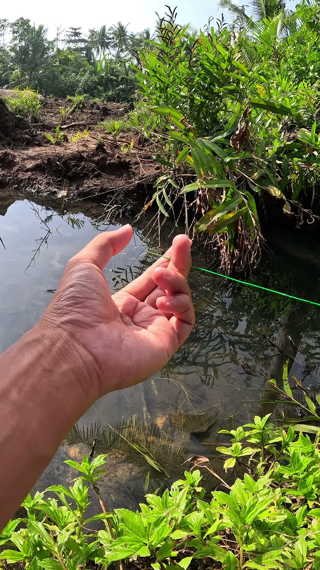 menangkap udang tradisional #udang #nelayan #laut #jaring #ikan #fbpro #reels #reelsviral #duniaikan #skills #fyp #trending