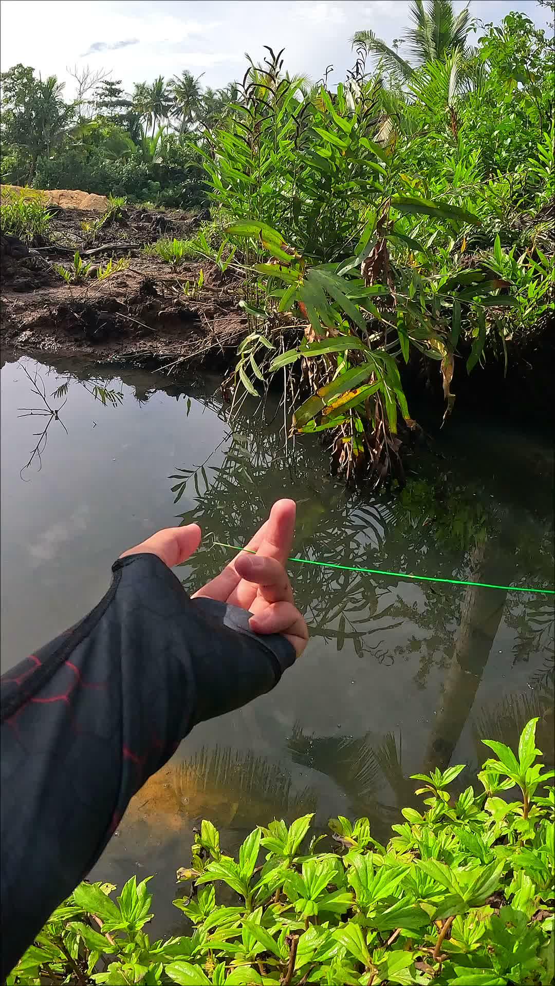 shrimp catching skills #fishing #traditional #usa #usareels #UnitedStates #unitedkingdom #denmark #canada