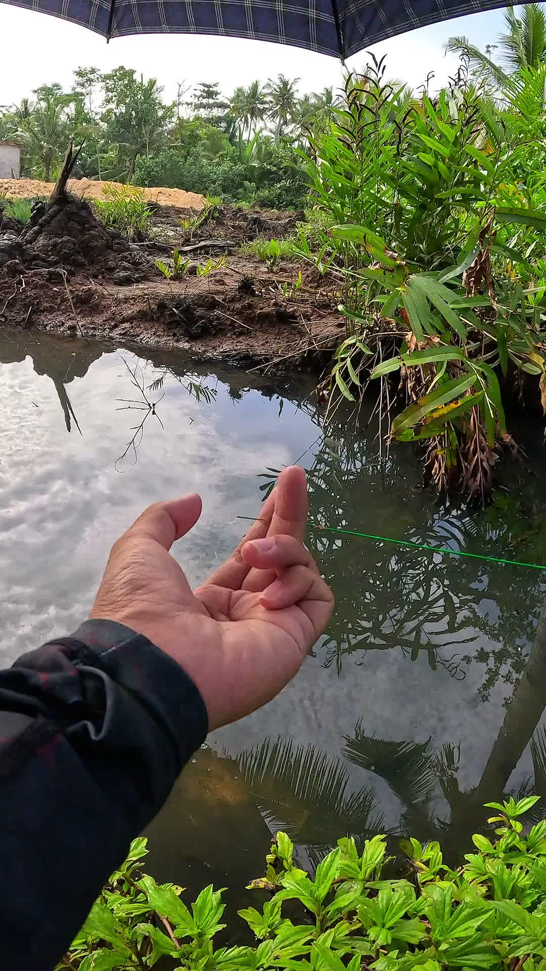 Lucky to know this method #fishing #traditional #usa #usareels #UnitedStates #unitedkingdom #denmark #canada