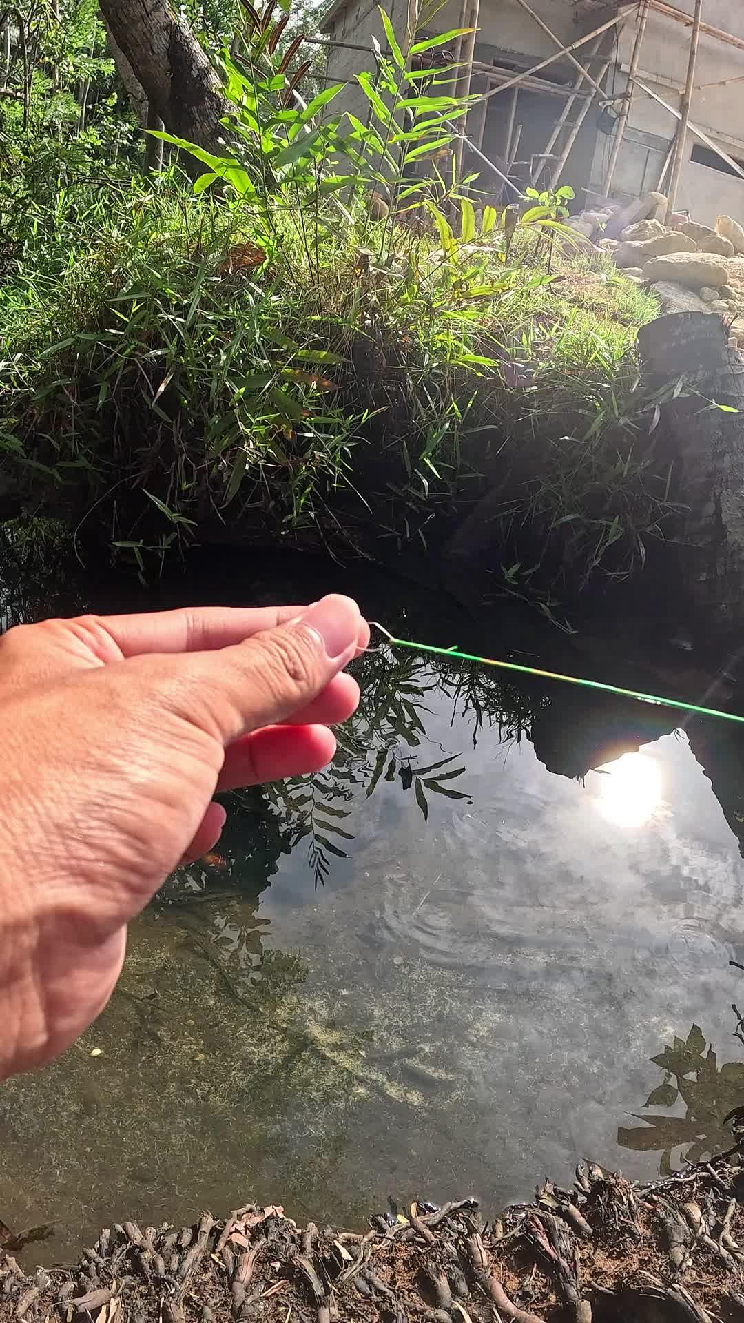 teknik memancing udang #mancing #fishing #shrimp #udang #nelayan #laut #jaring #ikan #reelsviral #animals #skill #fyp #trending
