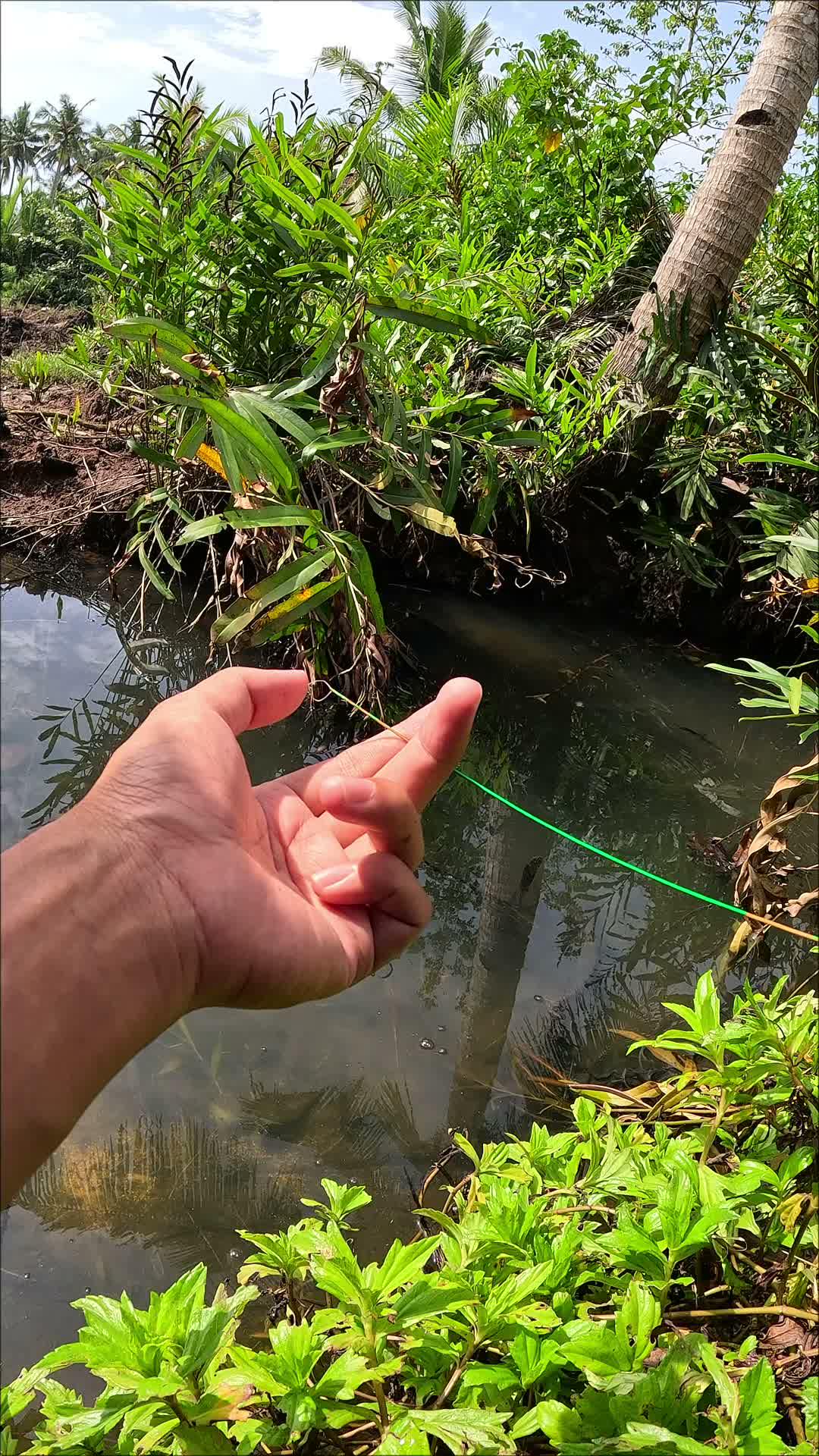 teknik jitu menangkap udang