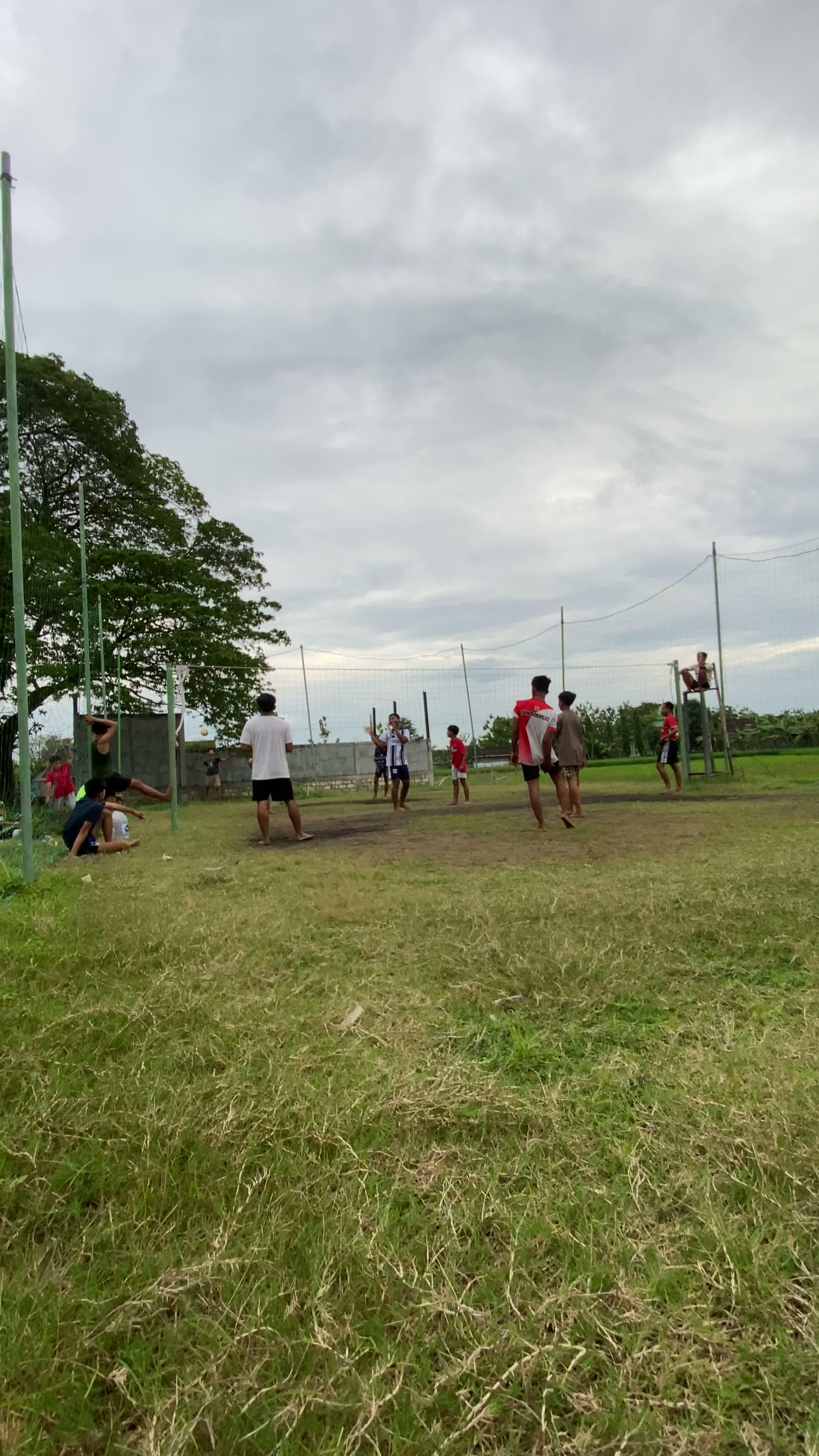 Sore sore lurr wayae olahraga volly #olahraga #volley #volleytarkam #volleyball #desaku #tambakrejo 