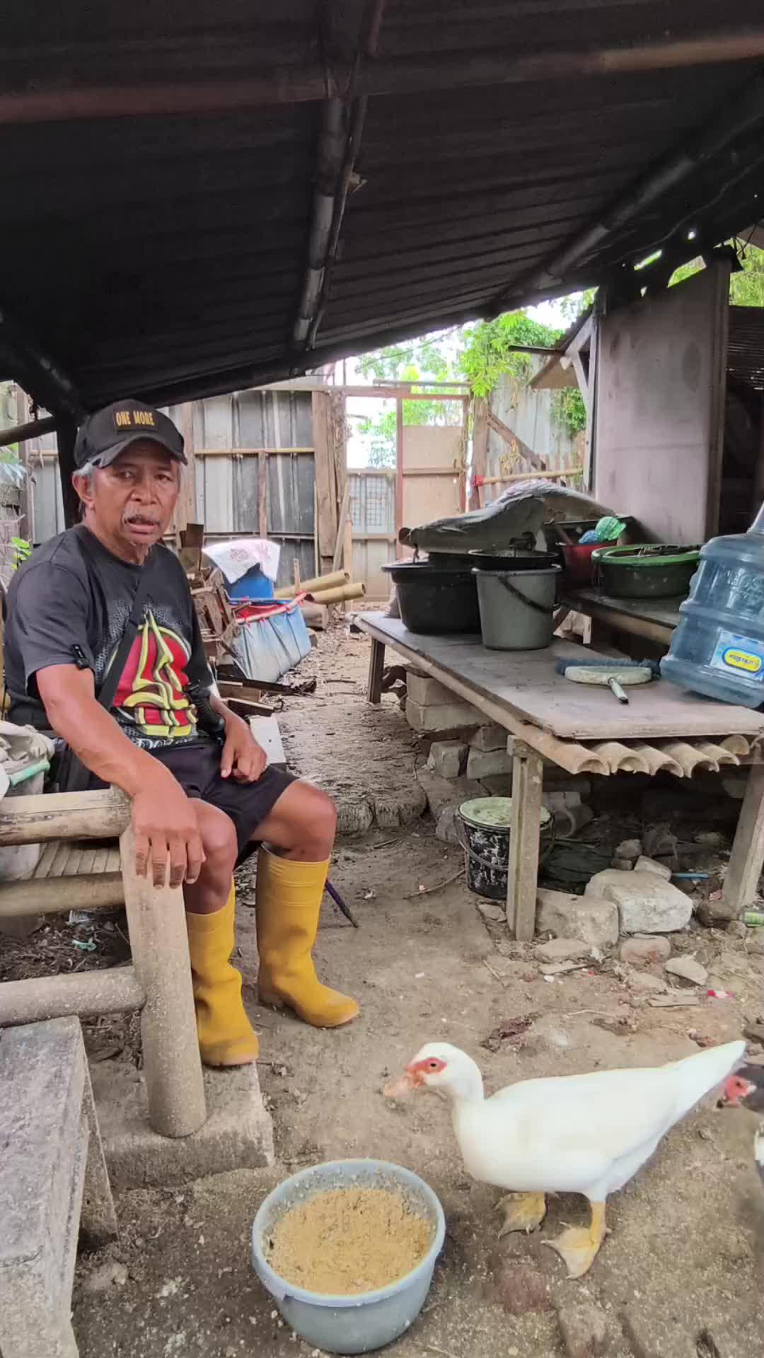 Tarzan #komedi #RCTIPlus 