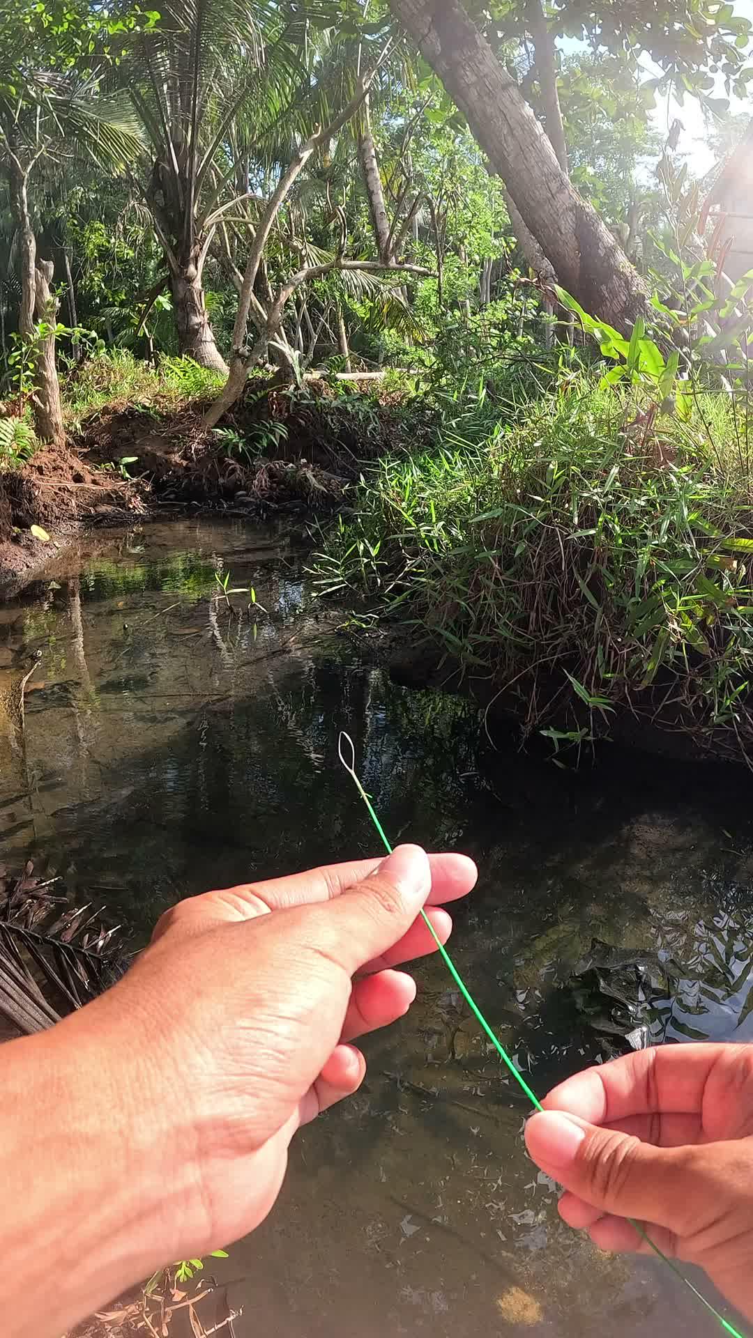 viral technique #fishing #traditional #usa #usareels #UnitedStates #unitedkingdom #denmark #canada