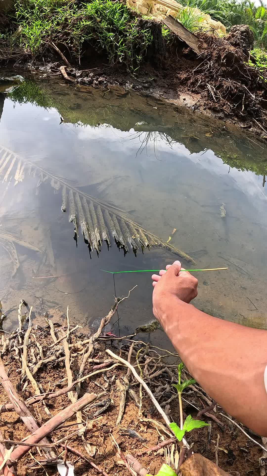 segampang itu nangkap udang #mancing #fishing #shrimp #udang #nelayan #laut #jaring #ikan #reelsviral #animals #skill #fyp #trending