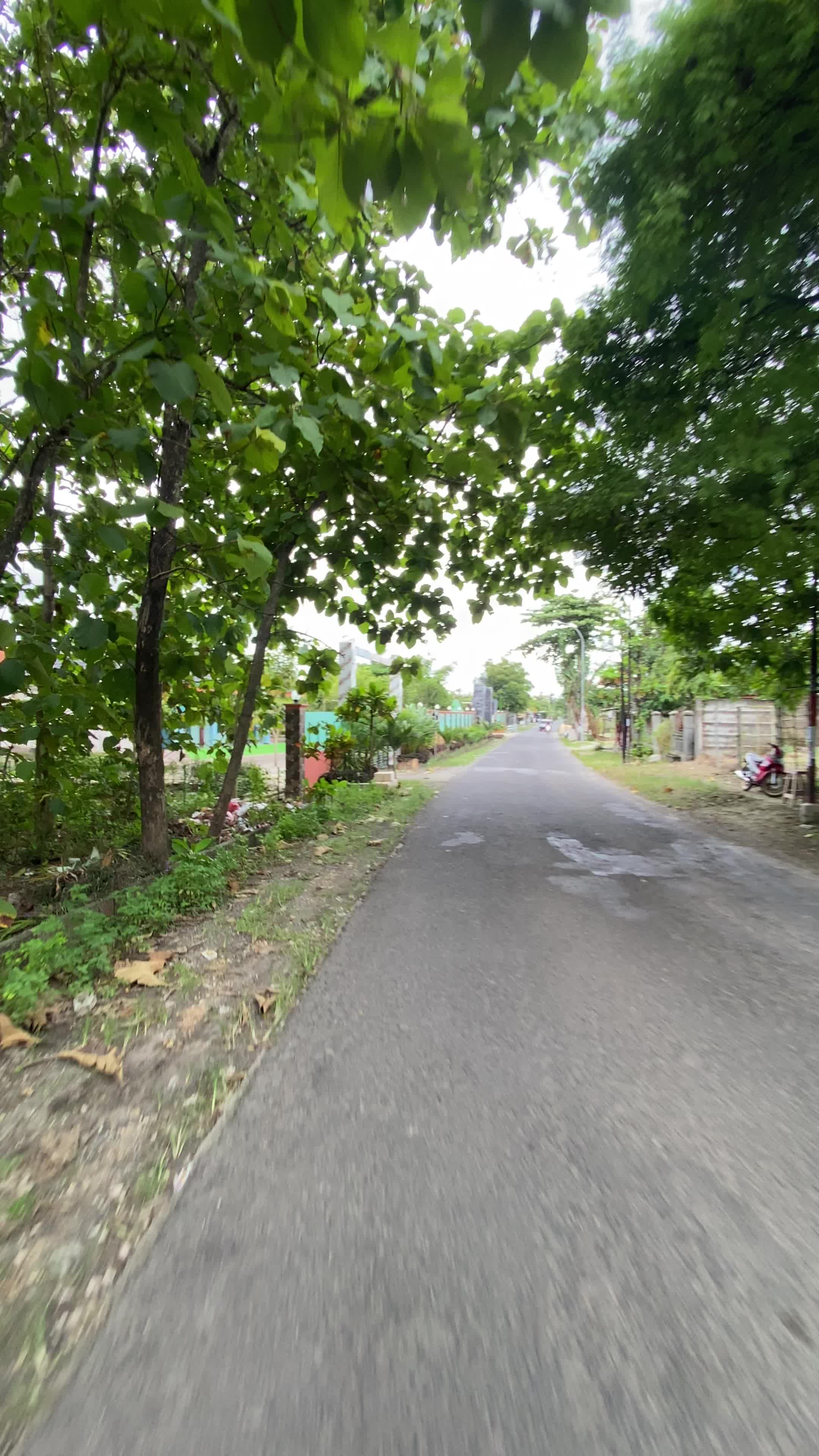 SMA paling megah yang ada di Kec. Tambakrejo, Bojonegoro #tambakrejo #bojonegoro #desaku #viral 