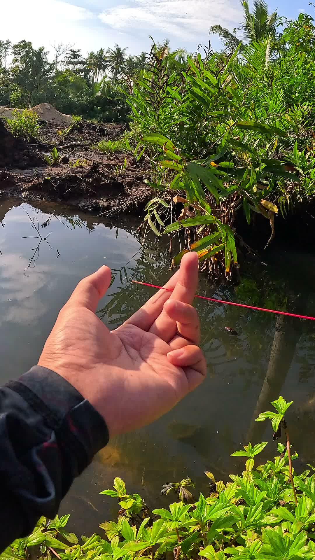 banyak banget udang disini🦐 #mancing #fishing #shrimp #udang #nelayan #laut #jaring #ikan #reelsviral #animals #skill #fyp #trending
