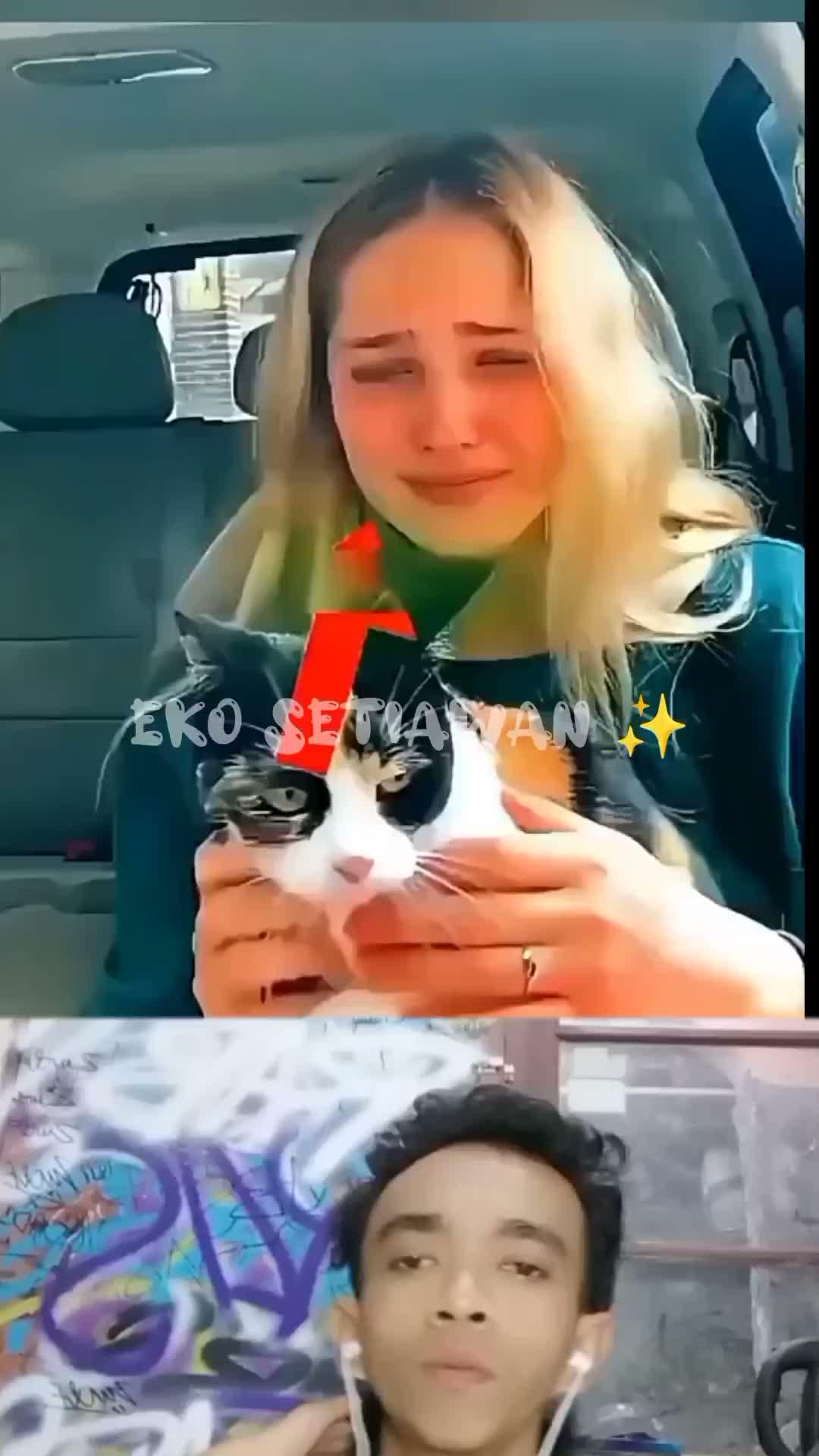 kucing wanita ini sedang sekarat 🥺😱