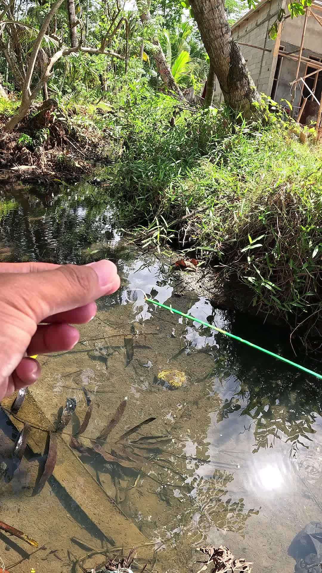 how to catch shrimp super fast and easy #fishing #shrimp #fish #sea #traditional #usareels #UnitedStates #reelsviral #skils #fyp #trending