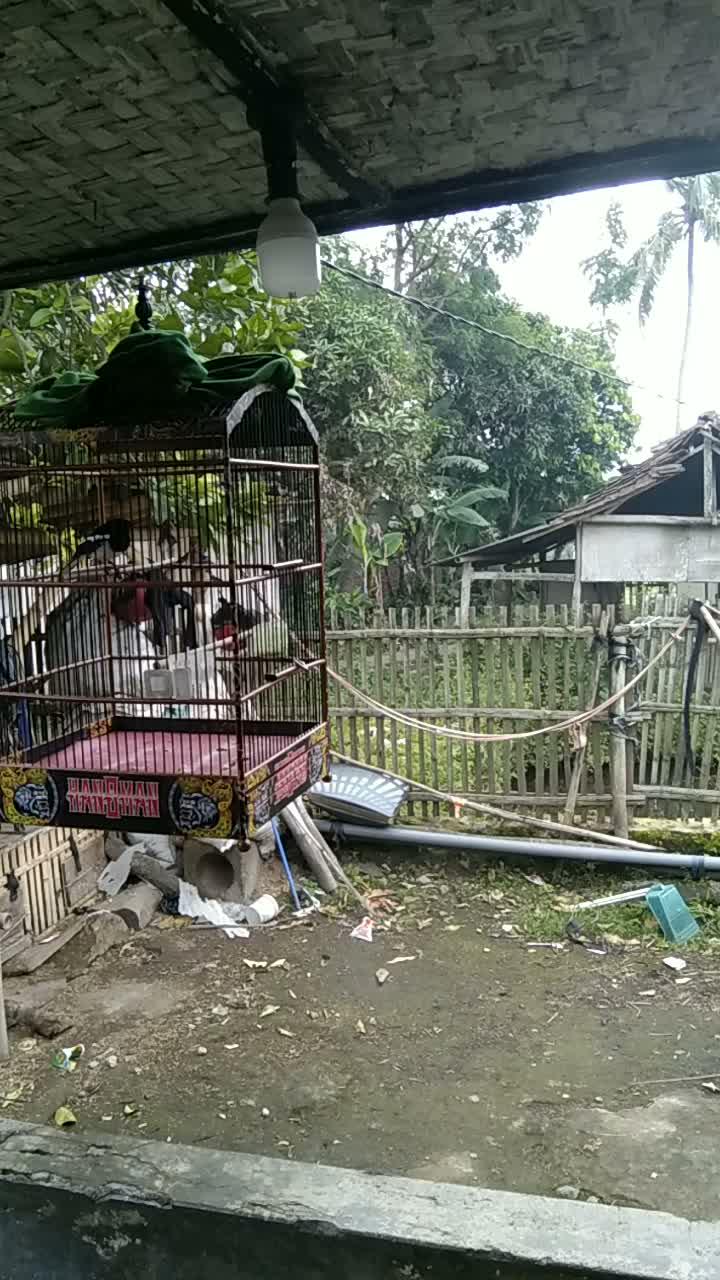 sadar kamera dia      #short  #HOTrctiplus 