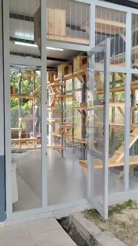 inspirasi rumah kucing

#HOTrctiplus #shortplus #kucingoyen #duniakucing